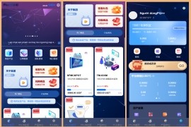 新版海外投资理财系统/多语言投资返利/IM社区/10级分销