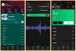 多语言音乐刷单系统/海外音乐刷单抢单/策略组派单/打针等等/前端uniapp
