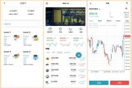 多语言虚拟币黄金白银铂金DAPP交易所系统微盘系统微交易系统