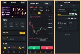 新UI多语言海外微交易微盘系统海外交易所系统
