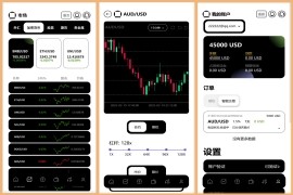 多语言新版本UI 欧美风格币盘外汇/虚拟币/股票/取货/贵金属/合约/期权/nft/只能交易H5 PC自适应（后端Java 前端VUE，全开源可二开）