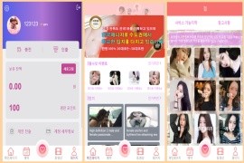  全新定制版韩国空降系统