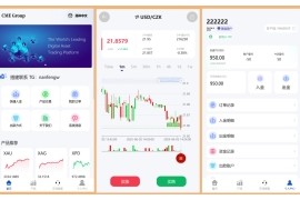 多语言海外贵金属源码外汇源码期货源码