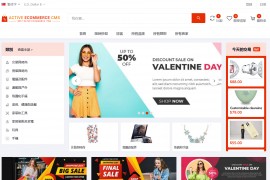 pro版 多语言海外跨境电商系统一键铺货