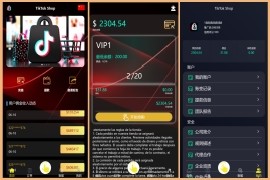 多语言tiktok刷单源码抢单源码