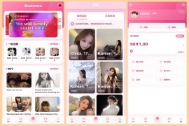 独家定制版多语言空降系统