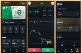 全新开发多语言贵金属外汇期货微交易系统