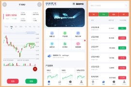多语言外汇期货国债贵金属微交易系统微盘系统