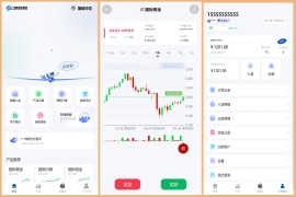 多语言微交易系统/期货微盘时间盘系统/前端UNIAPP